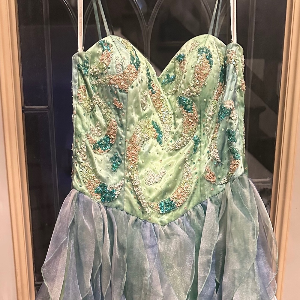 Dress or Tinker Bell costume